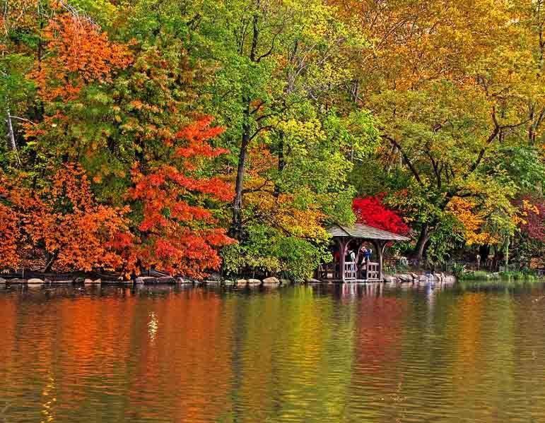 Central Park Bucureşti Cameră foto