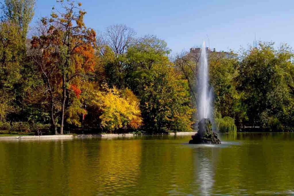 Central Park Bucureşti Cameră foto
