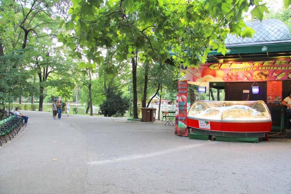 Central Park Bucureşti Cameră foto