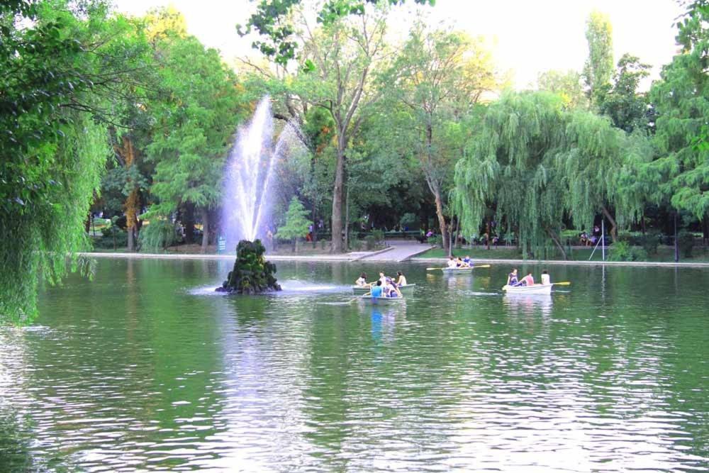 Central Park Bucureşti Cameră foto