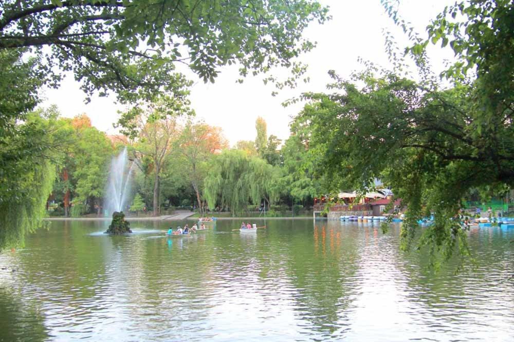 Central Park Bucureşti Cameră foto